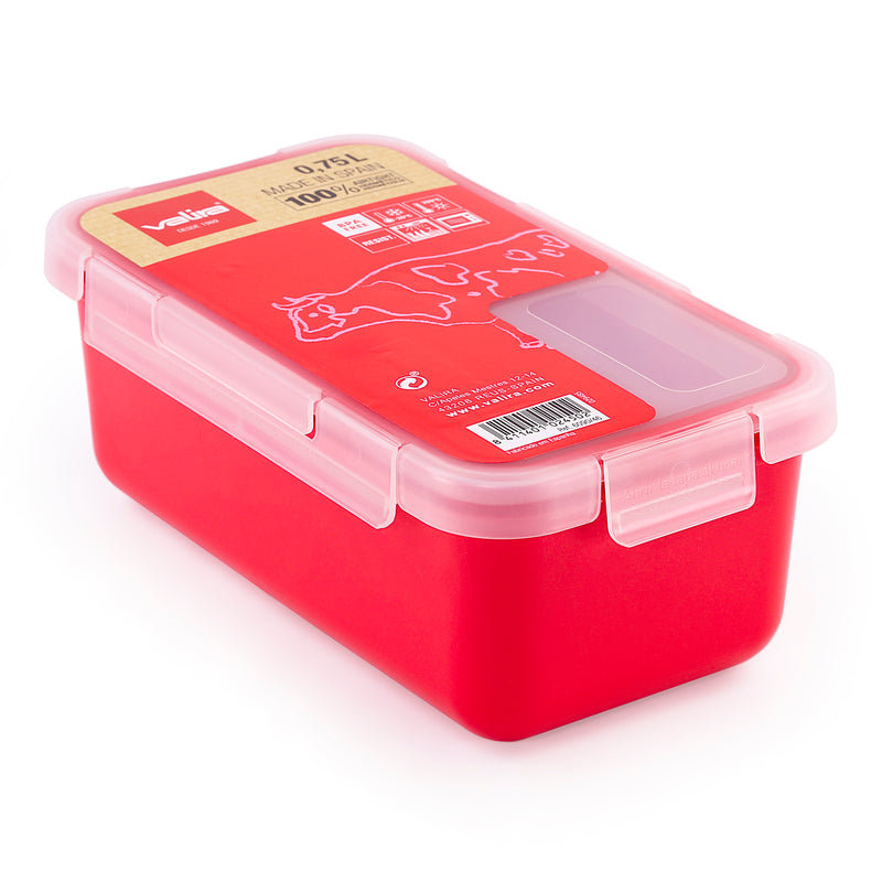 VALIRA Satin Mini - Bolsa Térmica Porta Alimentos Satinada. Incluye Recipientes de 0.75L y 0.5L
